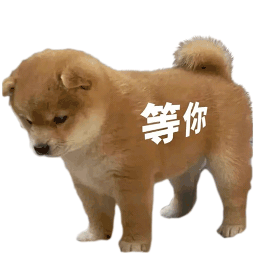 表情包 – 高清 GIF表情包 开放版权素材 免费下载 聊天斗图素材