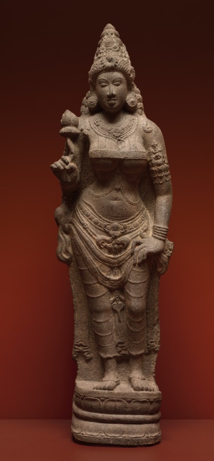 Shri – 高清 桌面壁纸 无版权可商用素材 免费下载 手机电脑通用背景图