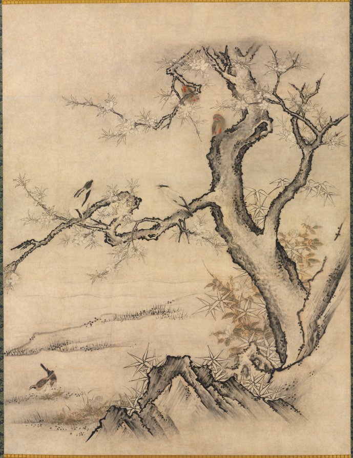 Flowers and Birds in a Spring Landscape – 高清 桌面壁纸 无版权可商用素材