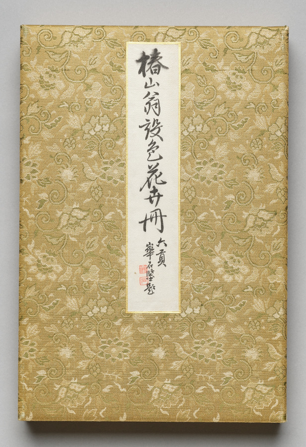 Flowers and Grasses – 高清 桌面壁纸 无版权可商用素材 免费下载 手机电脑通用背景图