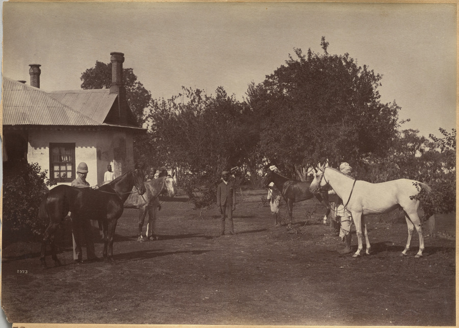 Lord William Beresford’s horses – 高清 桌面壁纸 无版权可商用素材 免费下载 手机