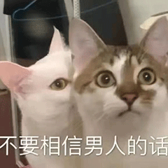表情包 – 高清 GIF表情包