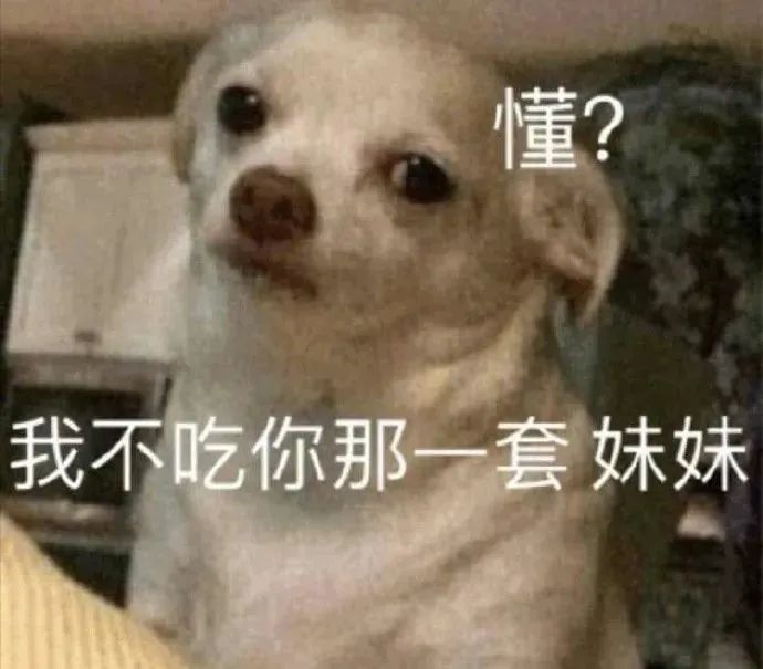 表情包 – 高清 GIF表情包 开放版权素材 免费下载 聊天斗图素材