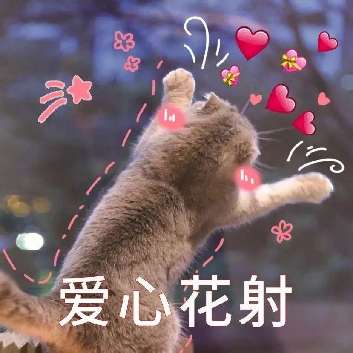 表情包 – 高清 GIF表情包