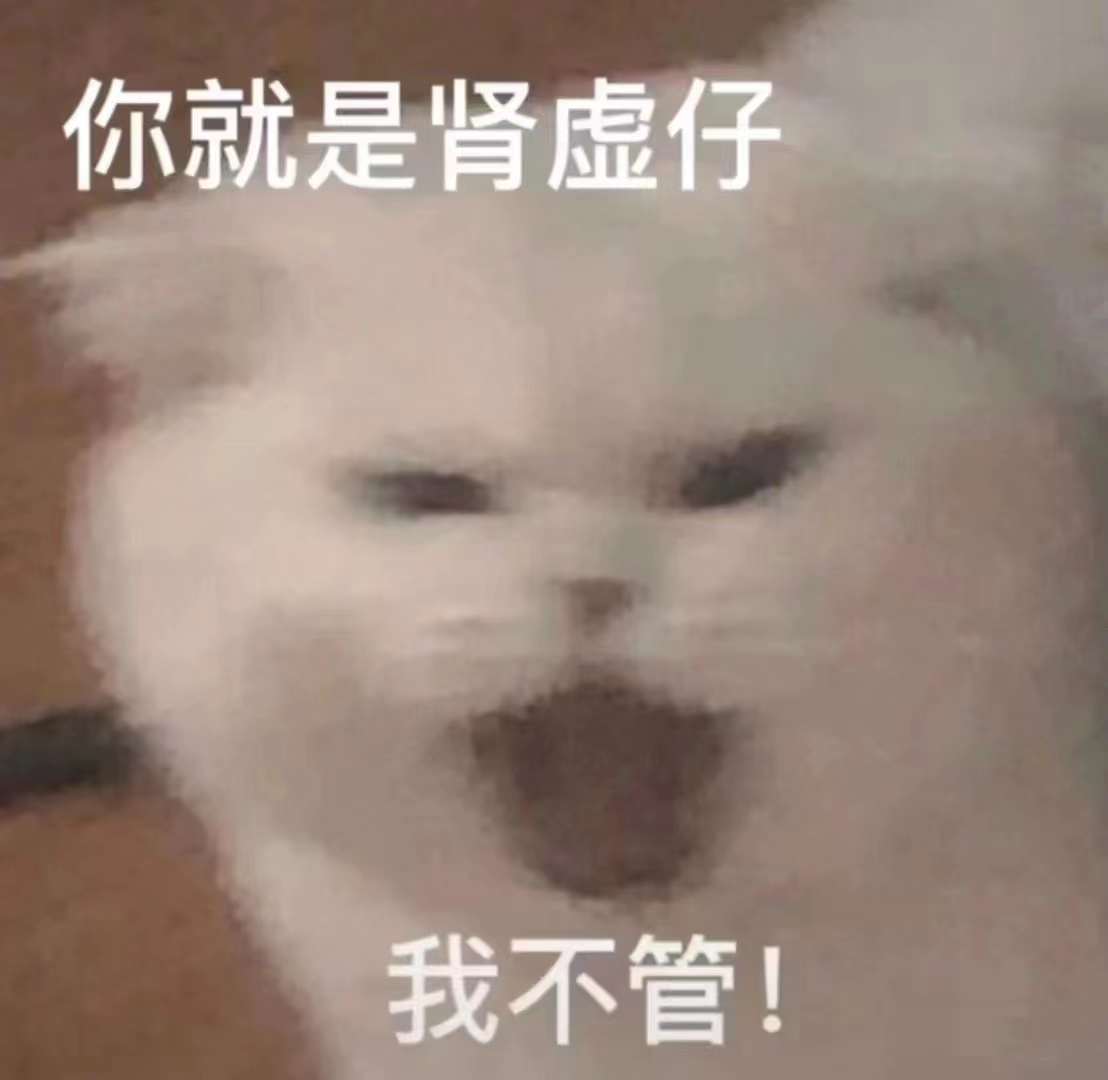 表情包 – 高清 GIF表情包 开放版权素材 免费下载 聊天斗图素材