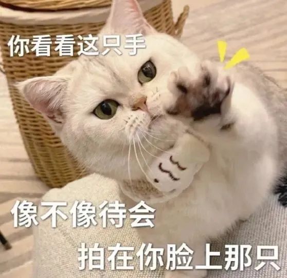 表情包 – 高清 GIF表情包 开放版权素材 免费下载 聊天斗图素材