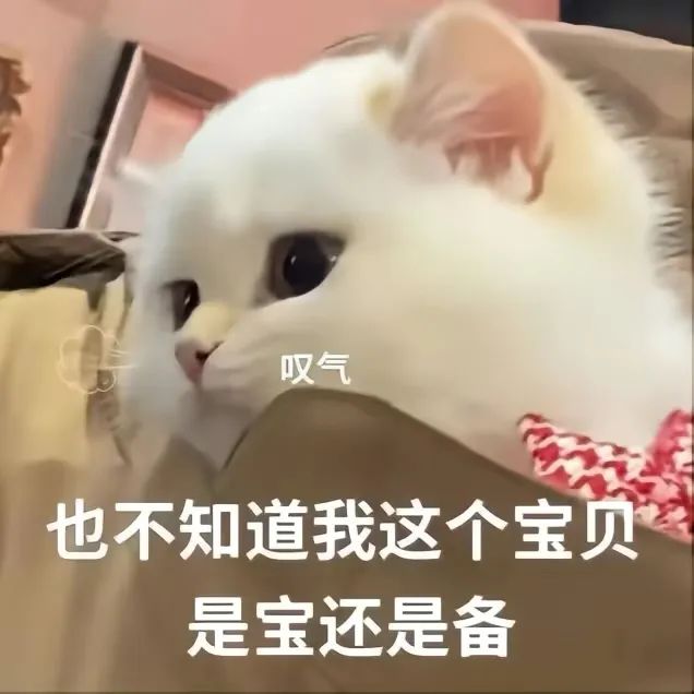 表情包 – 高清 GIF表情包 开放版权素材 免费下载 聊天斗图素材