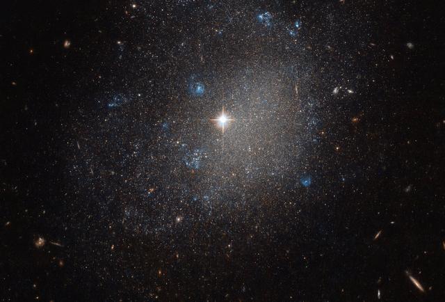 Hubble Chases a Small Stellar Galaxy in the Hunting Dog –