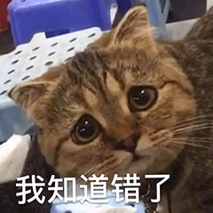 表情包 – 高清 GIF表情包 开放版权素材 免费下载 聊天斗图素材