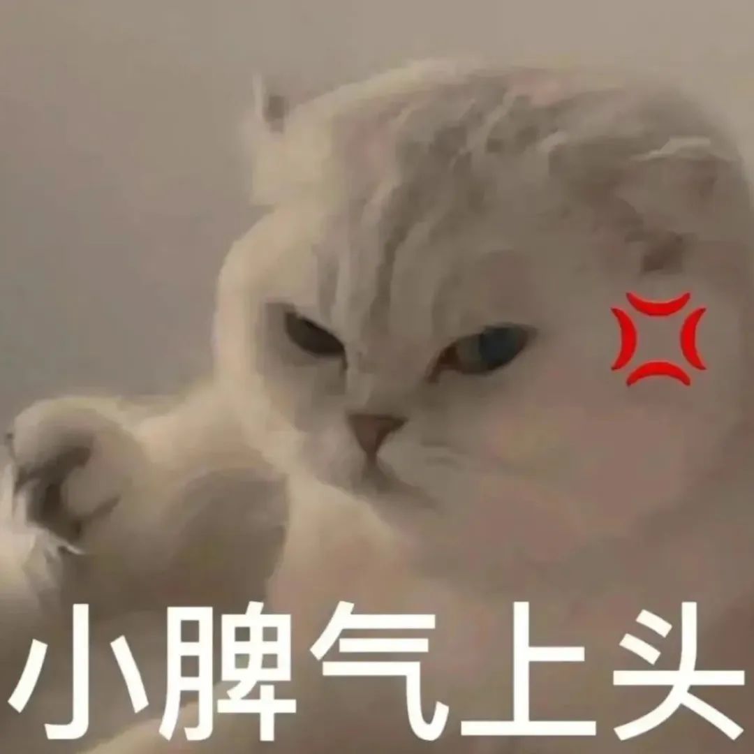 表情包 – 高清 GIF表情包