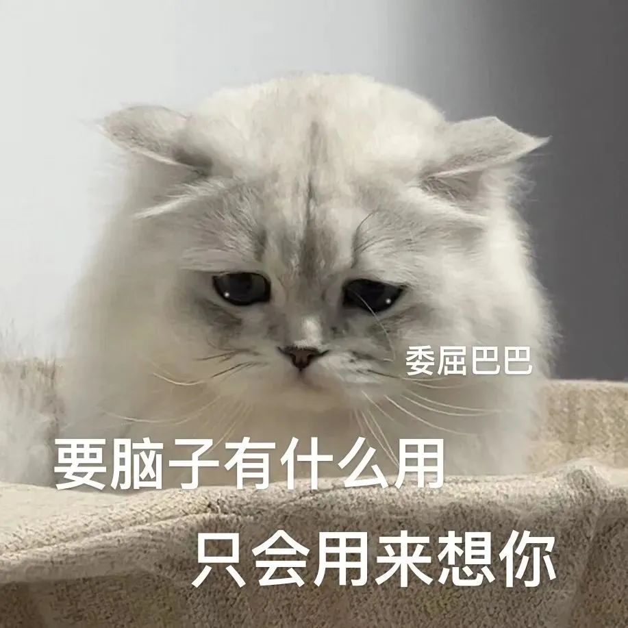表情包 – 高清 GIF表情包