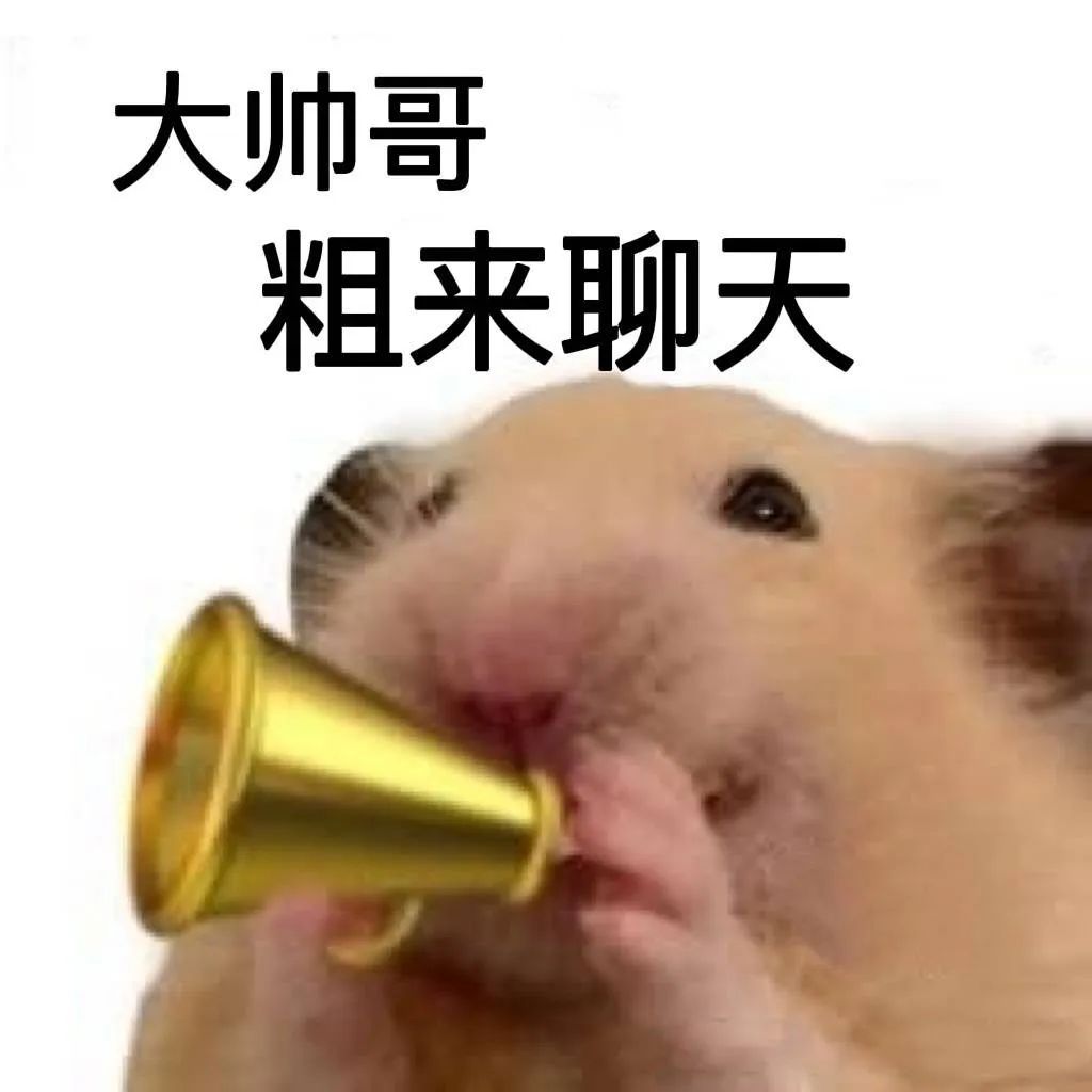 表情包 – 高清 GIF表情包 开放版权素材 免费下载 聊天斗图素材