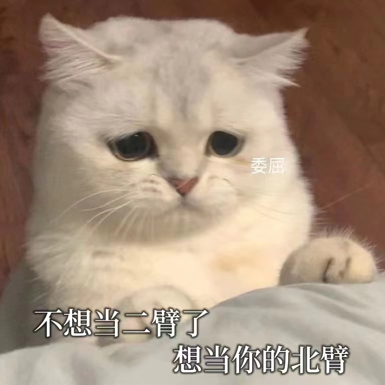表情包 – 高清 GIF表情包 开放版权素材 免费下载 聊天斗图素材