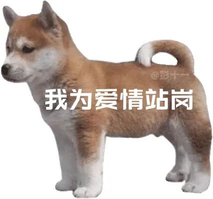 表情包 – 高清 GIF表情包 开放版权素材 免费下载 聊天斗图素材