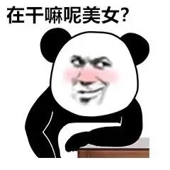 表情包 – 高清 GIF表情包 开放版权素材 免费下载 聊天斗图素材