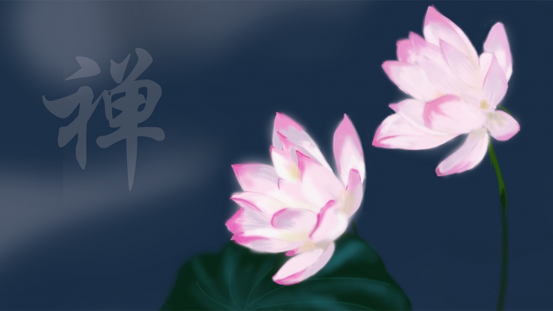 4K风景