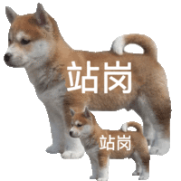 表情包 – 高清 GIF表情包 开放版权素材 免费下载 聊天斗图素材