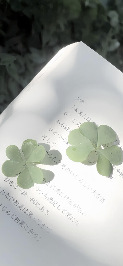 灵感壁纸