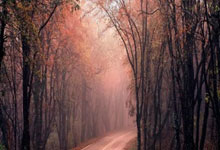 如何高效建立短视频选题库：创意管理与内容优化指南