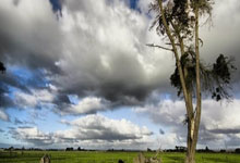 如何通过短视频操作赚钱：内容创作与变现策略全解析