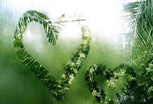 掌握短视频电商：内容营销与运营策略全攻略